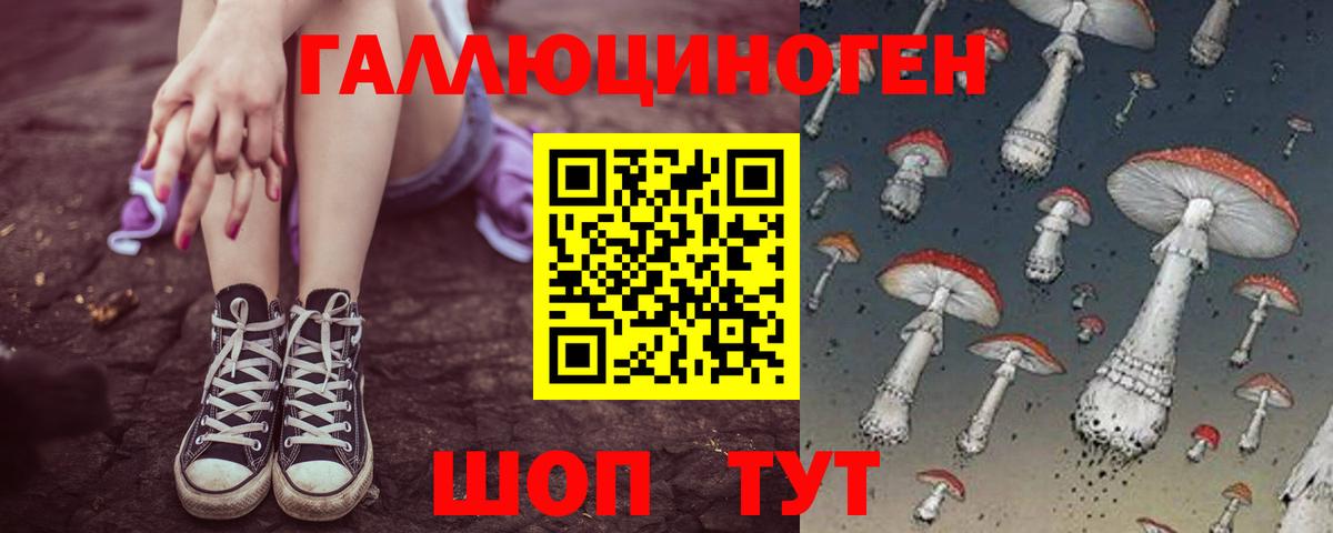 Коммунар  Псилоцибиновые грибы Psilocybine cubensis  Вход с VPN 